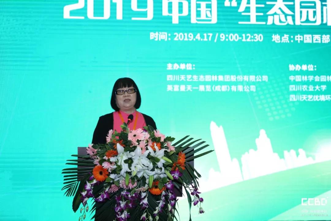 2019ɶAMĻ҂(D26)